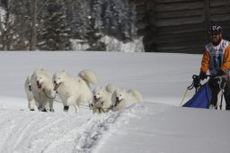 Kandersteg 2013